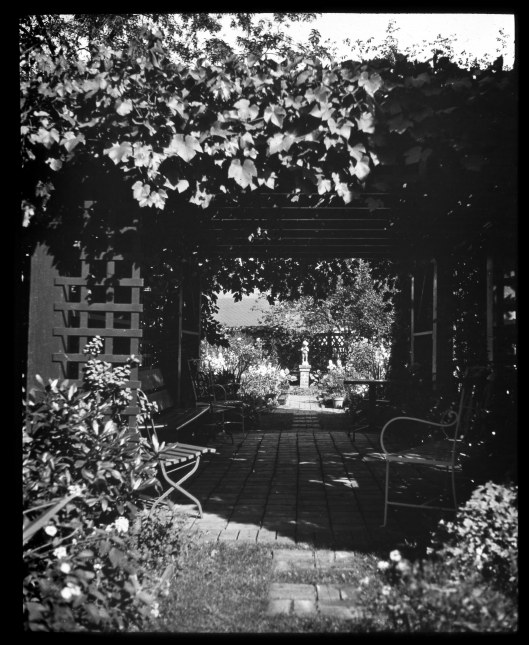 Knight Library Home Garden Pergola looking east Lantern Slide