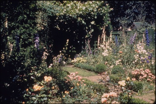 L&SArchiveImages1108 050 vinatge garden view