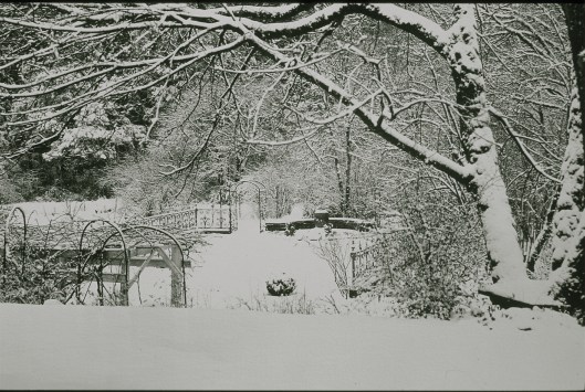 L&SArchiveImages1108 183