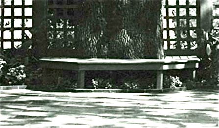 bench