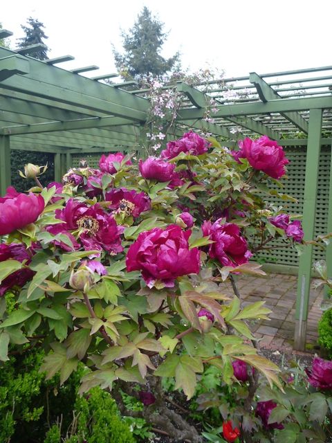 ChVBU5hnD4ytEzQ1Upi_1kxO8EBuiWaU4dm-tkKlgwbjDODqmw1Fy1qco7c5MmyC2q9hnCLnO6cF3Wr1u9V_tBLEFXPbNvd-o5bxe6VuL-cfSpqDf-P_8yUMvcJTbs1N5euCQ-1LeHIyMHUENni0a3afzoxbHcNT7WlskiXhhtYzRzLGmHoXfh4uwvmgl5V3ab75X1