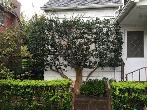 QcnoAKL45Noz_dAe8cPyREENZy7eMMPXlktMRvUy1IugOAH8Q9zMq29ijKyxwM1Deql_v8Sqs6YWKx90uT89ZUEVLRRTMdIbrO-EsnNZ98rI9mRzwEWcqhv7Bv3316VlGJ_ltiNCPCg_is4VQfRlsE_cK_jCHCaeKZlaYwsO2u2160Ie3u1OiCdhugWNKfGGP2lXwH