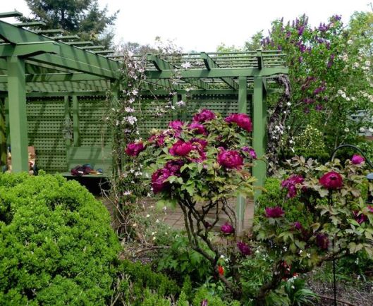 WSzWoV2_uGuUDPuKzb0BDEmc3c1AfAJKt9qIaVQi505WQFXInbYW1p23qIiNZh4GbcHgx67vVdSA3q7vBoWCsEuYTn4Na4mfQH9F1aoWjPJYcjmNjWPZw-eEiOuDorPFQE3KCCIw54zC6J6wc7IyPgnGmEqby926q4hGlqdgaqKBOxzH8FSipAoryYuWaDprBQdKu0