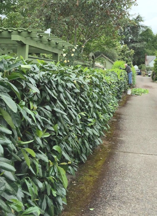 s-HlS-3ZRugPRFshmIhSSxDDfB-FUYrMJOcQGUIPySExb_9ZyPL8yYBW_w9qwf8rrczSRN3j7TK8MxkoiXXFg3sr2hZs2GvjoRt4DfGs84KUIRWjtw8Vy_gjBJKmTegGhi1ut388w4y7HJYsIXXBpPErR6WYY0THiYpXidjWiemThWnV0aFaH_0CbbgCJXguEJiJW3