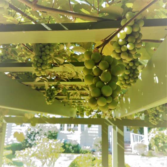 20170801_094724_copy