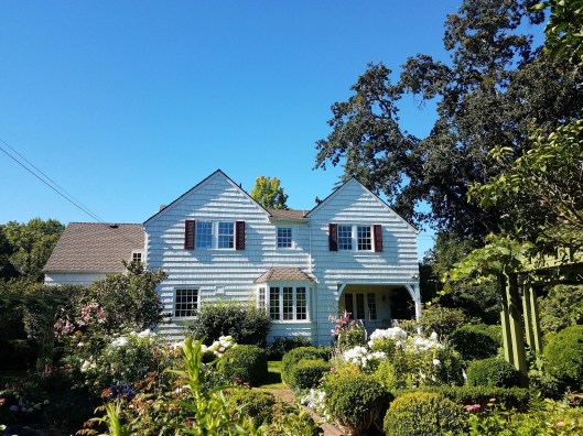 20170801_095018_copy